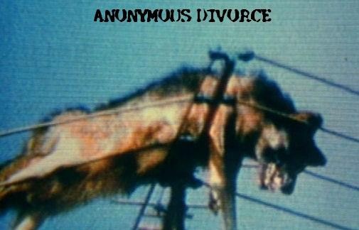 Anonymous Divorce – Anonymous Divorce (2022) CDr