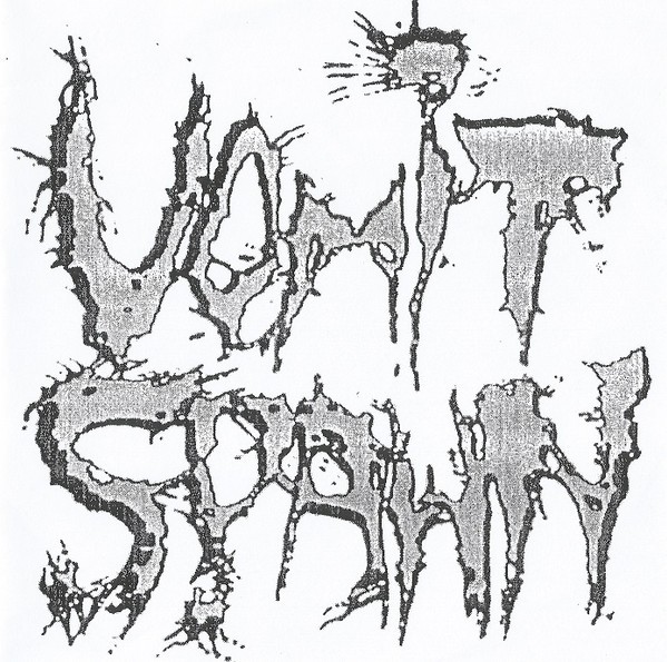 Vomit Spawn – Promo 2001 (2020) CDr EP